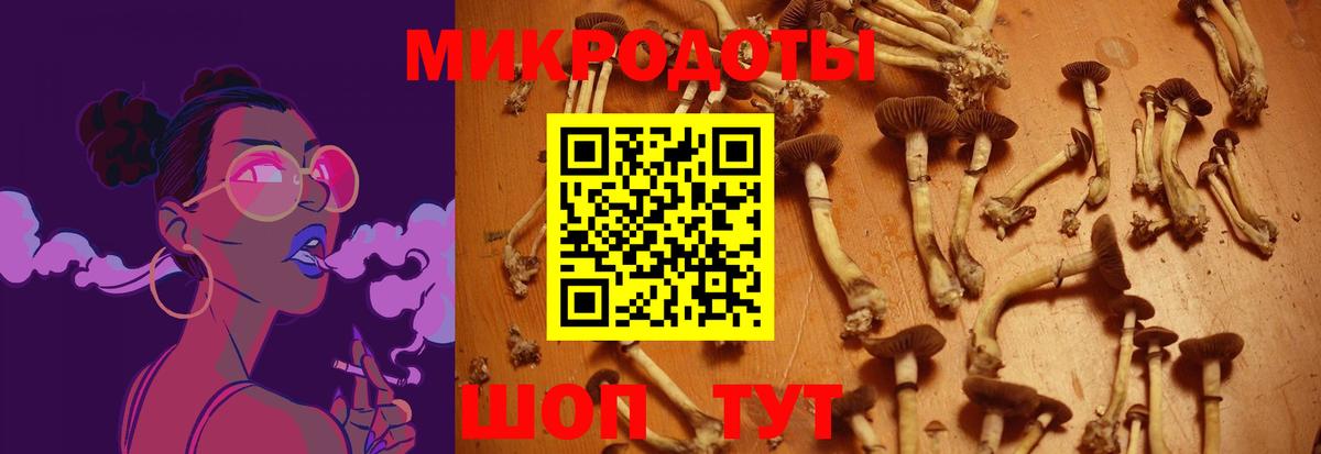 Псилоцибиновые грибы Psilocybine cubensis  Псилоцибиновые грибы Cubensis  Шатура  Вход с VPN 